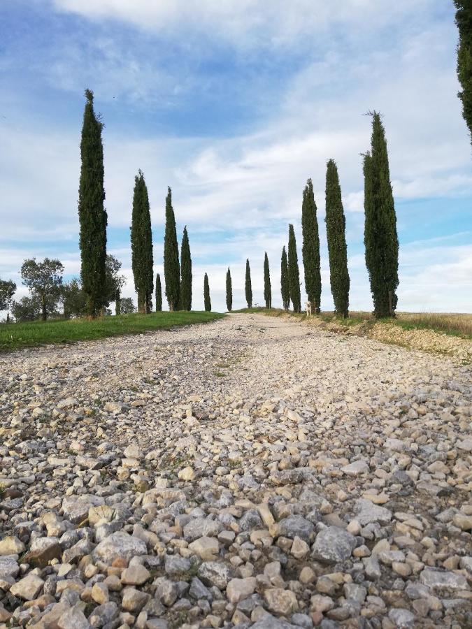 Podere Sant'Antonio Villa Buonconvento Exterior foto