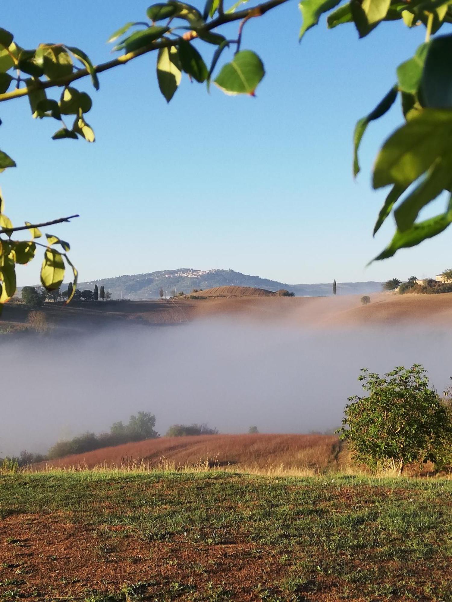 Podere Sant'Antonio Buonconvento Exterior foto